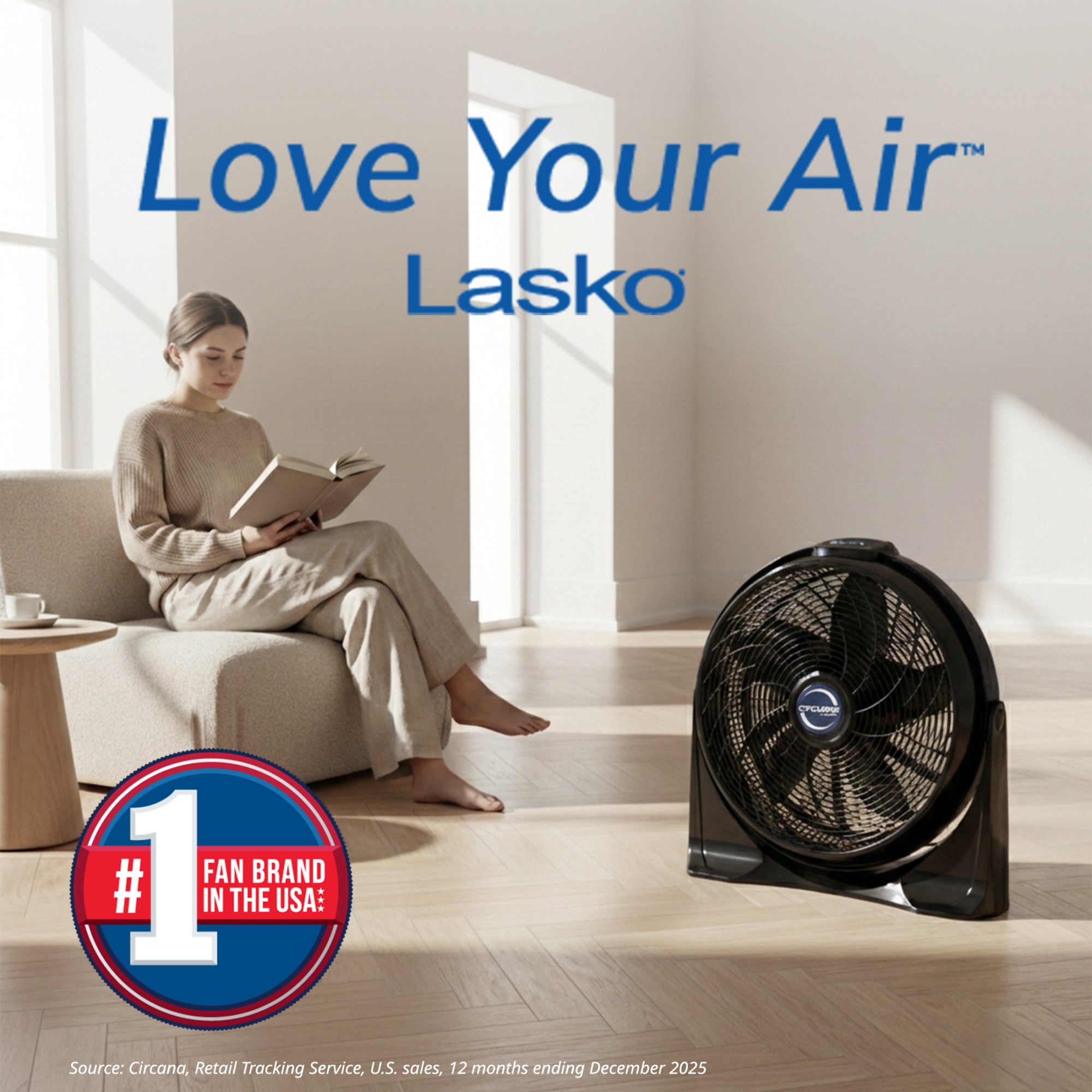 Lasko Cyclone 20 Air Circulator Fan: Wall Mount. 4-Speed. Remote. Black - Image 8