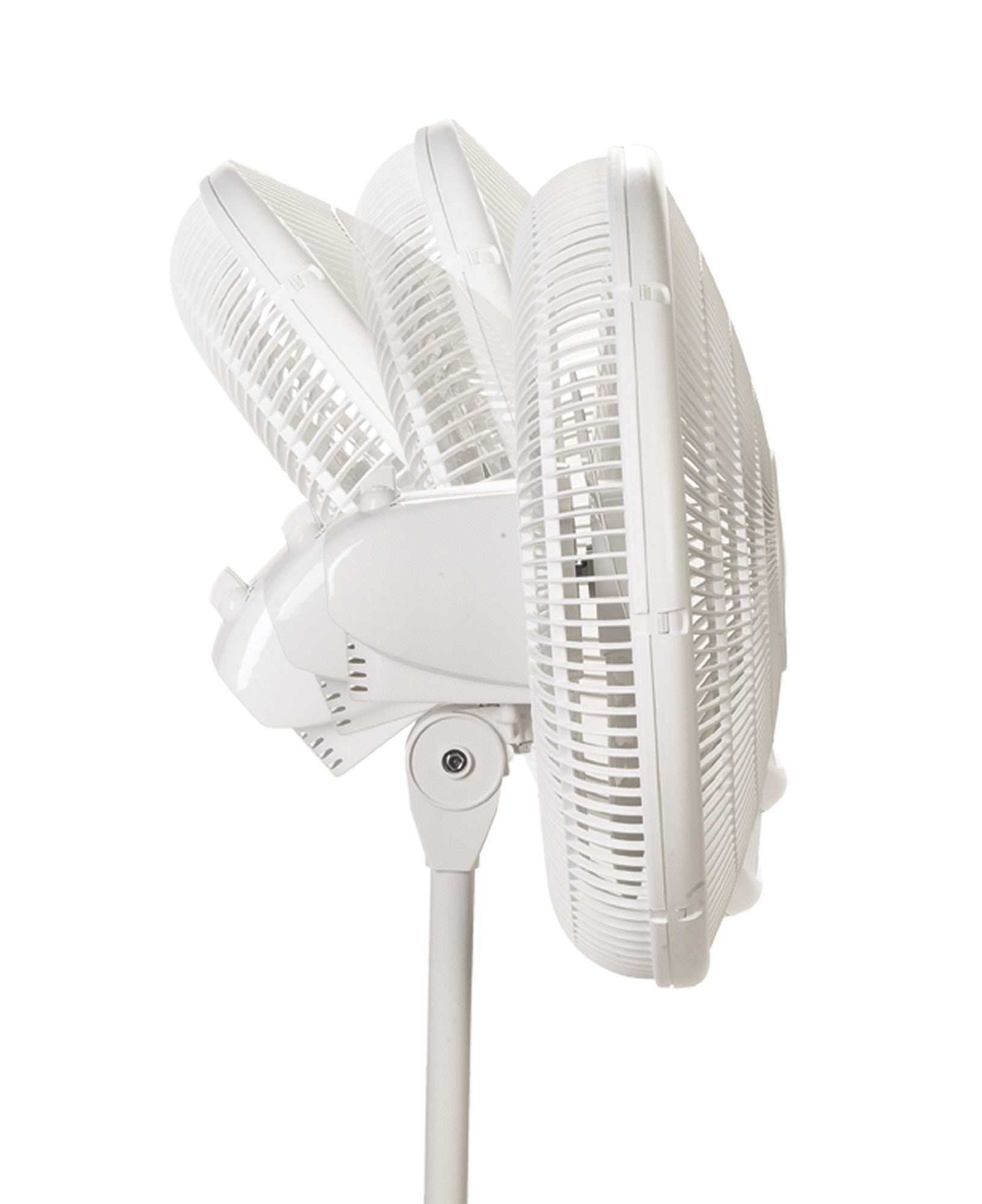 Lasko 16 Pedestal Fan: Oscillating. 3-Speed. Adjustable Height. White - Image 10